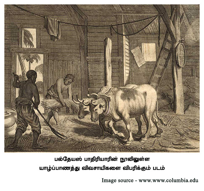 பல்தேயஸ் பாதிரியாரின் நூலிலுள்ள யாழ்ப்பாணத்து விவசாயிகளை விபரிக்கும் படம் 