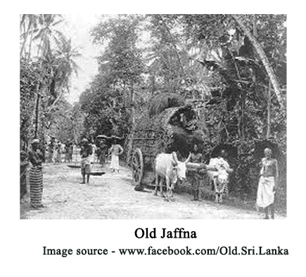 old jaffna 
