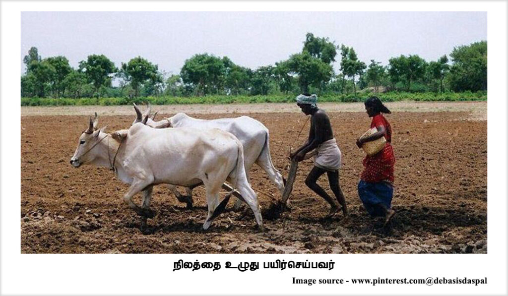 நிலத்தை உழுது பயிர்செய்பவர்