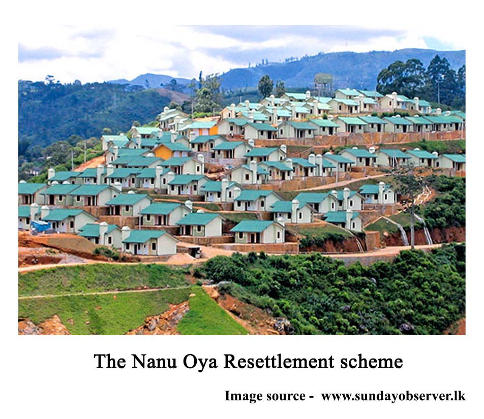 The Nanuoya resettlement scheme