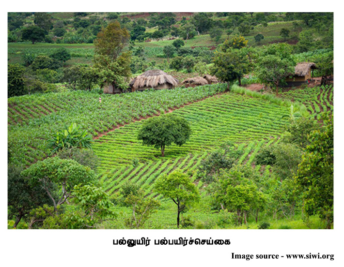 பல்லுயிர் பல்பயிச்செய்கை