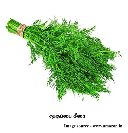 சதகுப்பை கீரை