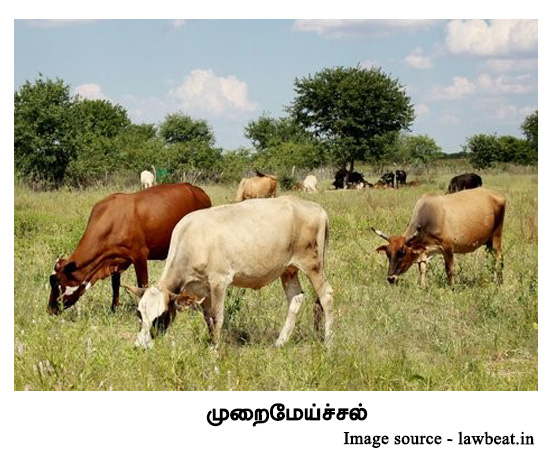 முறைமேய்ச்சல்