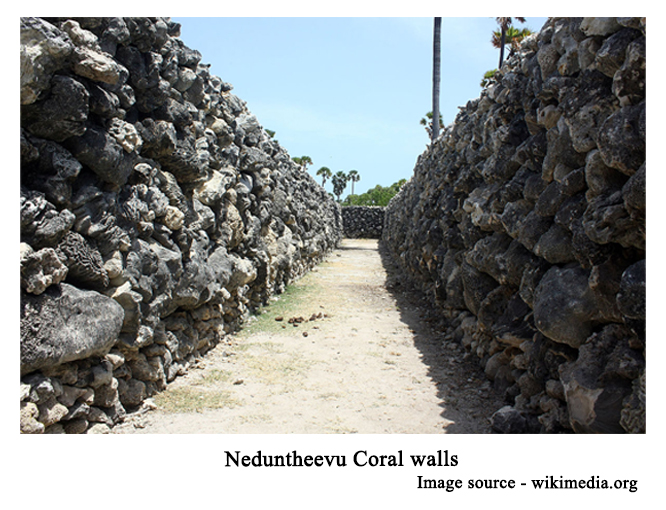 Coral-walls