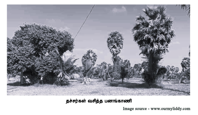 தச்சர்கள் வசித்த பனங்காணி