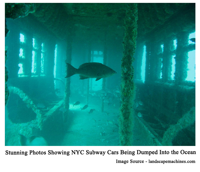 Stunning-Photos-Showing-NYC-Subway-Cars-Being-Dumped-Into-the-Ocean