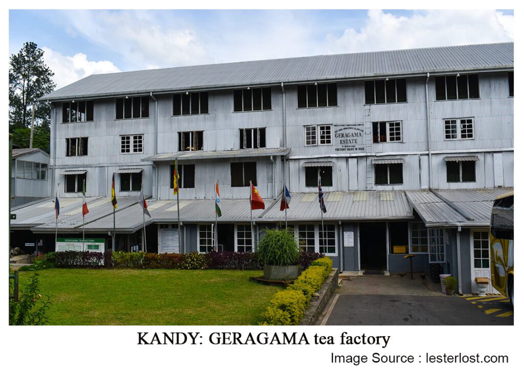 tea factory