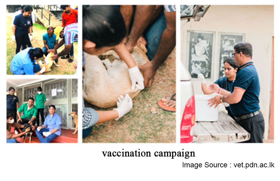 vaccination campaign