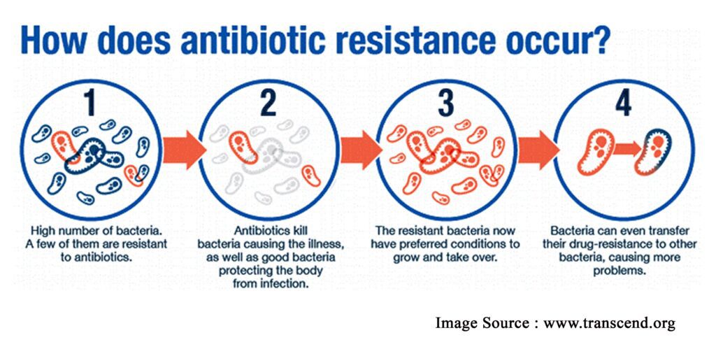 Antibiotic resistant