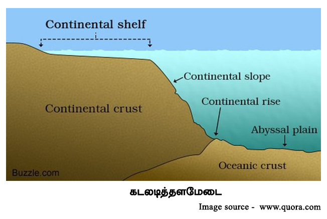 continental shelf