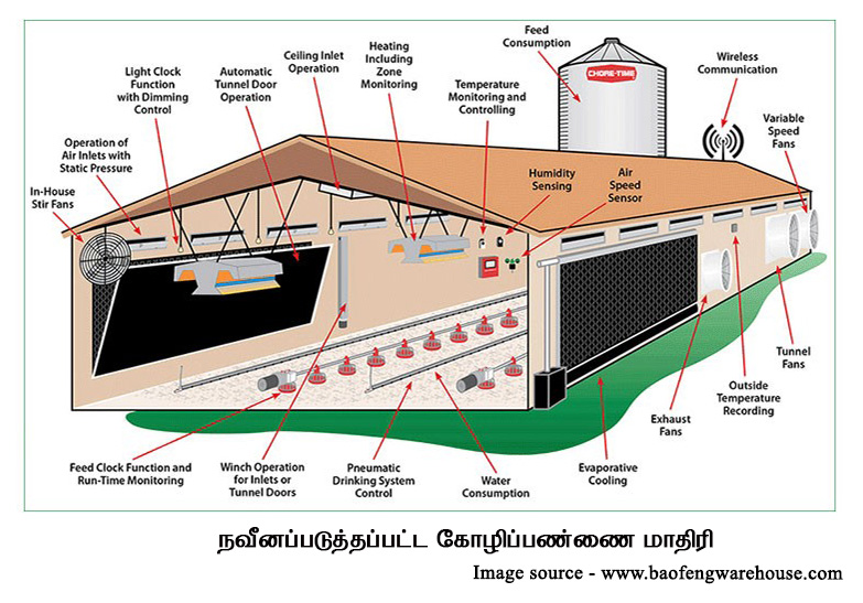 Modern Farm 