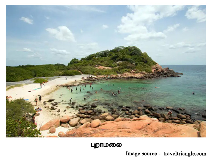 pigeon island