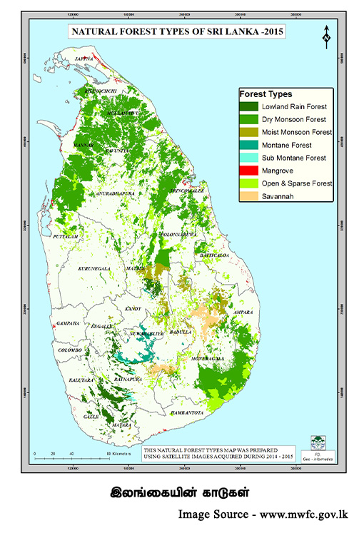 forest map srilanka