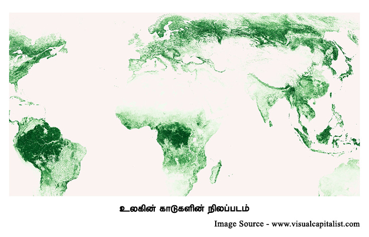  world forest map 