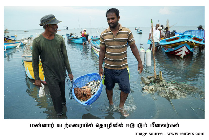 fishermen mannar