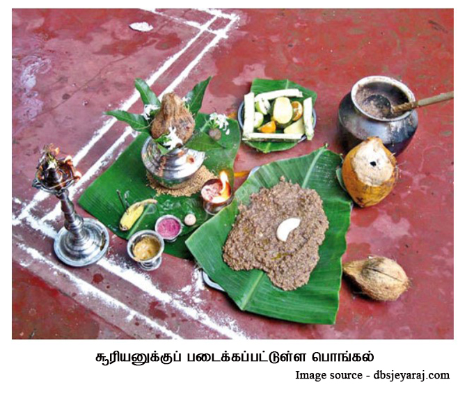 pongal